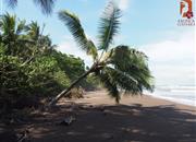 Pláže NP Tortuguero - Karibik