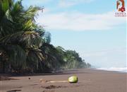 Pláže NP Tortuguero - Karibik