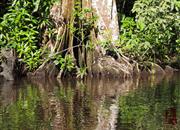 Kanály v NP Tortuguero