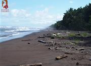 Pláže NP Tortuguero - Karibik