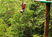 Canopy v mlžném lese Montevrede rozproudí adrenalin