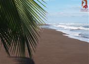 Pláže NP Tortuguero - Karibik